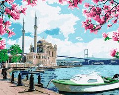 Купити Яскравий Стамбул Розмальовка по цифрам  в Україні