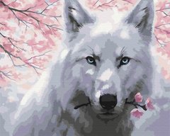 Купить Раскрашивание по номерам Волк с цветами (без коробки)  в Украине