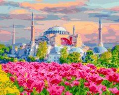 Купить Стамбульские цветущие поля Цифровая картина по номерам (без коробки)  в Украине