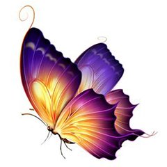 Купити Метелик-3 Картина алмазна мозаїка за номерами  в Україні