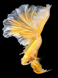Золотая рыбка-2 Набор для алмазной вышивки, Нет