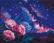 Рисование цифровой картины по номерам Ночные цветы ©Anna Steshenko, Без коробки, 40 х 50 см