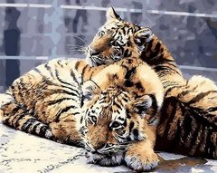 Купити Набір для малювання по цифрам Задумливі тигренята  в Україні