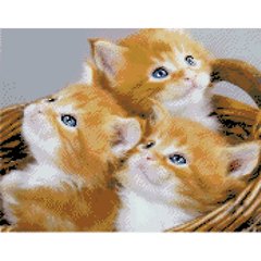 Купити Набір для творчості алмазна картина Кошик з кошенятами 40х50 см  в Україні