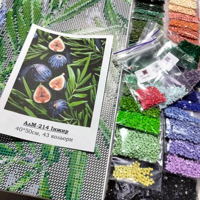 Купить Инжир Алмазная вышивка Квадратные стразы 40х50 см с голограммными оттенками  в Украине