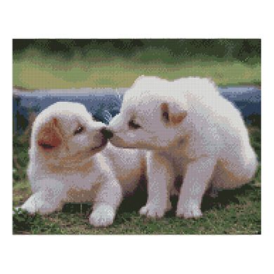 Купить Алмазная картина по номерам круглыми камешками Белые щенки  в Украине