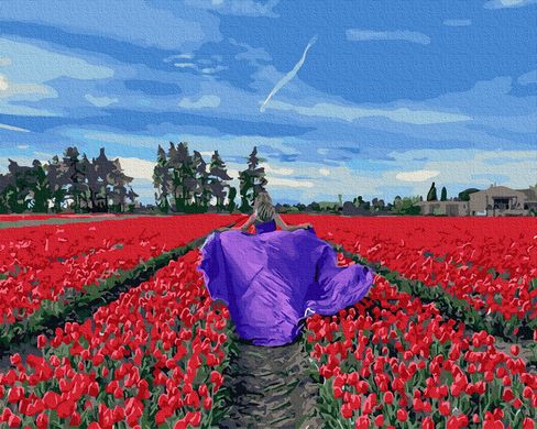 Купить Картина раскраска по номерам В поле тюльпанов 40 х 50 см (без коробки)  в Украине
