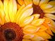 Алмазна вишивка На Підрамнику Квітучі соняшники