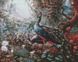 Алмазна мозаїка - Казкові пави ©Сергій Лобач Идейка 40х50 см (AMO7336)