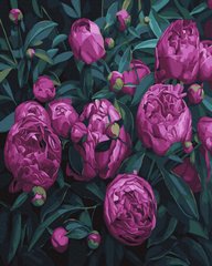 Купити Пурпурові тюльпани Набір для малювання по цифрам (без коробки)  в Україні
