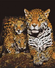 Купити Нічні леопарди Алмазна картина на підрамнику 40 х 50 см  в Україні