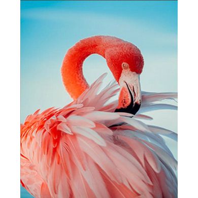 Купить Яркий розовый фламинго Алмазная мозаика На подрамнике 30х40 см  в Украине