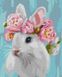 Малювання по номерам Білосніжний кролик ©Юлія Томеско (без коробки)