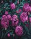 Пурпурные тюльпаны Набор для рисования по цифрам (без коробки), Без коробки, 40 х 50 см