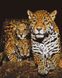 Ночные леопарды Алмазная картина на подрамнике 40 х 50 см, Да, 40 x 50 см