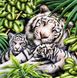 Алмазная вышивка Белая тигрица с тигрятами, Нет