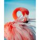 Яркий розовый фламинго Алмазная мозаика На подрамнике 30х40 см, Да, 30 x 40 см
