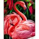 Розовые фламинго Набор для алмазной картины На подрамнике 30х40см, Да, 30 x 40 см