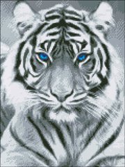 Купить Алмазная мозаика Белый тигр 30х40  в Украине