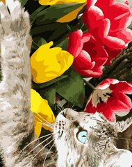 Купить Набор для рисования по номерам (без коробки) Котик с тюльпанами  в Украине