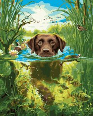 Купить Собака в реке Антистрес раскраска по цифрам без коробки  в Украине