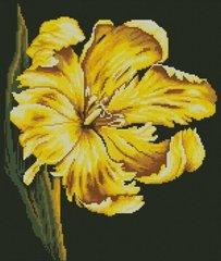 Купить 30776 Желтый тюльпан. Алмазная мозаика(квадратные, полная)  в Украине