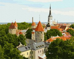 Купити Криші старого Талліну Картина за номерами без коробки  в Україні