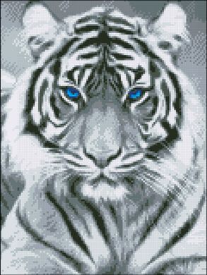 Купити Алмазна мозаїка Білий тигр 30х40  в Україні