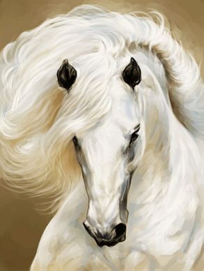 Купити Набір для діамантової вишивки Грація - Білий кінь  в Україні