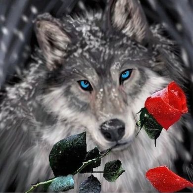 Купить Алмазная вышивка Волк с розой  в Украине