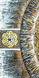 Діамантова мозаїка Триптих Мандала - Дерево Кохання в колі Життя, Ні