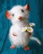 Мышка с ромашками Антистрес раскраска по цифрам без коробки, Без коробки, 40 х 50 см
