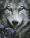 Картина по номерам (без коробки) Волк и роза, Без коробки, 40 х 50 см