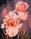 Розовые ирисы Картина антистрес по номерам, Без коробки, 40 x 50 см