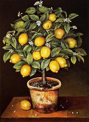 Купить Алмазная мозаика с полной закладкой полотна Лимонное дерево худ. Jоse Escofet  в Украине