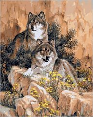 Купити Картини за номерами Вовки  в Україні