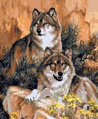 Купить Волк и волчица Мозаика квадратными камнями на подрамнике 40х50 см  в Украине