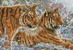 Купити Алмазна вишивка ТМ Дрім Арт Пара тигрів  в Україні