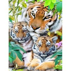 Купити Тигриця з тигрятами Набір алмазної мозаїки на підрамнику  в Україні