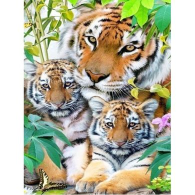 Купити Тигриця з тигрятами Набір алмазної мозаїки на підрамнику  в Україні