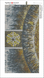 Алмазная мозаика 5D Мандала – Дерево Любви в круге Жизни -2, Нет