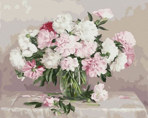 Купить Картина по номерам без коробки Бело-розовые пионы  в Украине