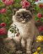 Котенок в цветах Антистрес раскраска по цифрам без коробки, Без коробки, 40 х 50 см