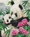 Розфарбовування по номерах Мама панда з дитинчам (без коробки), Без коробки, 40 х 50 см
