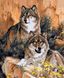 Волк и волчица Мозаика квадратными камнями на подрамнике 40х50 см, Да