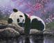 Панда на озере Алмазная картина раскраска 40 х 50 см, Без коробки, 40 х 50 см