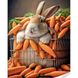 Набор для алмазной мозаики с круглыми камушками На подрамнике Кролик в морковке, Да, 30 х 40 см