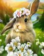 Купити Кролик Алмазна вишивка Квадратні стрази 40х50 см  в Україні