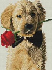 Купить Набор алмазной мозаики 30х40 Собака джентльмен  в Украине