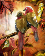 Купить Пара птиц – Любовь Набор алмазной мозаики 40 х 50 см  в Украине